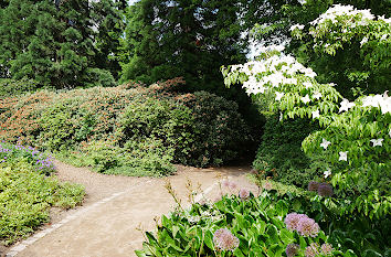 Parkanlage Planten un Blomen Hamburg