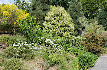 Alpinum im Planten un Blomen Hamburg