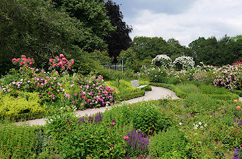 Rosengarten im Planten un Blomen in Hamburg