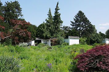 Planten un Blomen in Hamburg