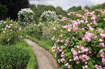 Planten un Blomen