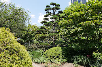 Japanischer Landschaftsgarten im Planten un Blomen