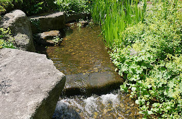 Bach im Planten un Blomen in Hamburg