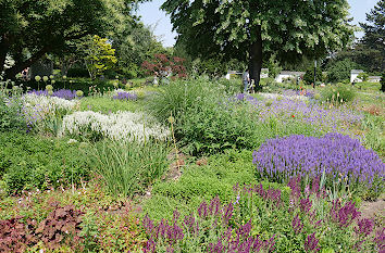 Staudengarten im Planten un Blomen in Hamburg