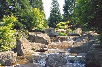 Wildwasser im Japanischen Garten