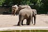 Tierpark Hagenbeck