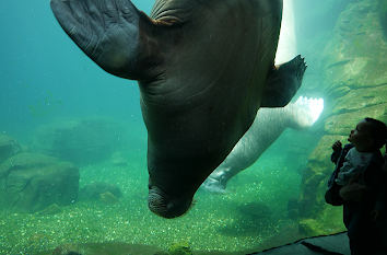 Tierpark Hagenbeck