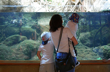 Tierpark Hagenbeck