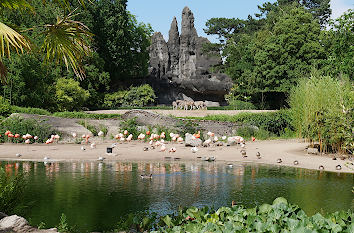 Afrika-Panorama Tierpark Hagenbeck Hamburg