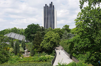 Hotelhochhaus hinter Wallgraben und Planten un Blomen in Hamburg