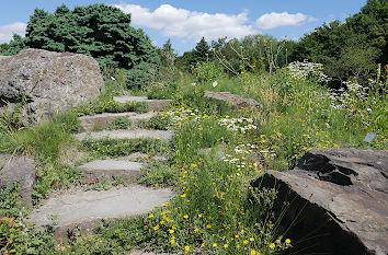 Alpinum im Botanischen Garten Kiel