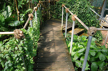 Tropisches Gewächshaus Botanischer Garten Kiel