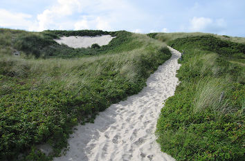 Dünenlandschaft auf Sylt