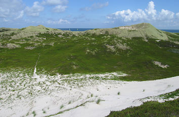 Dünenlandschaft auf Sylt