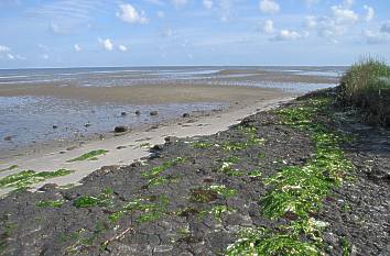 Wattenmeer auf der Insel Sylt