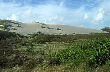 Wanderdünengebiet auf Sylt