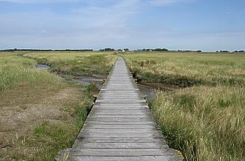 Steg durch die Salzwiesen von Süderhöft in Sankt Peter-Ording