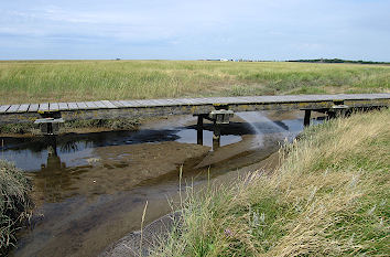 Weg durch die Salzwiesen von St. Peter-Ording