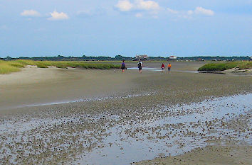 Strand und Wattenmeer St. Peter-Ording