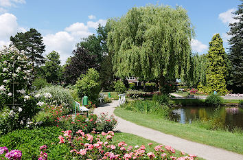 Teich im Rosarium Uetersen