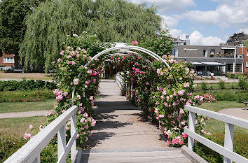 Brücke über Mühlenteich im Rosarium Uetersen