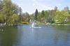 Teich im Elisabethpark