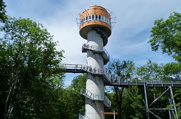 Aussichtsturm Baumkronenpfad Hainich