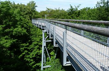 Baumkronenpfad Nationalpark Hainich