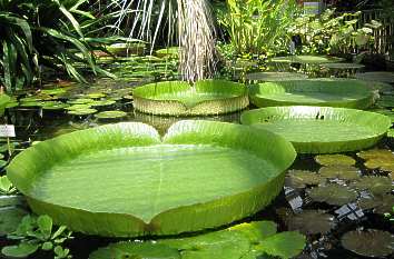 Botanischer Garten in Jena