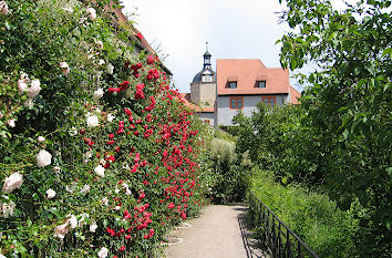 Garten Dornburger Schlösser