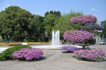 Blumen egapark Erfurt