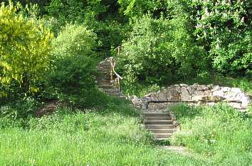 Schlosspark Ettersburg