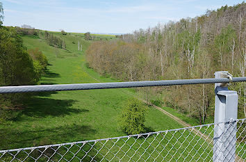 Blick von der Hängeseilbrücke Bärental