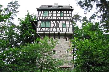 Seitenansicht Herzogstuhl