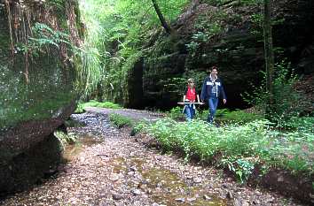 Landgrafenschlucht mit Bach