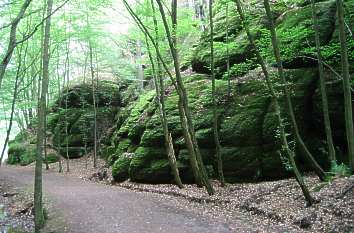 Wanderweg Landgrafenschlucht