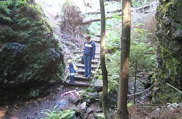 Wanderweg vom Roten Turm zum Aschenbergstein im Lauchagrund