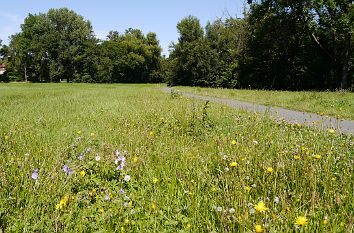 Ilmaue Maria-Pawlowna-Weg