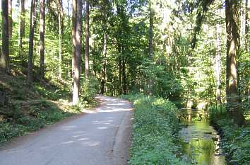 Kleine Straße am Raudabach