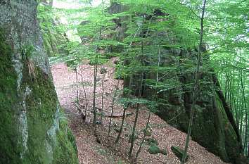 Wanderweg zur Elvenhöhle