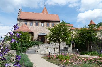 Rosengarten Niederburg Kranichfeld