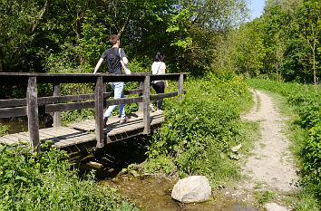 Brücke über den Weißbach im Orphalgrund