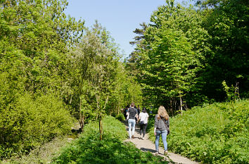 Orphalgrund bei Erfurt