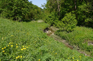 Weißbach im Orphalgrund bei Tiefthal