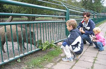 Tiergehege auf dem Possen