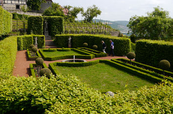 Hecken im Barockgarten in Dornburg