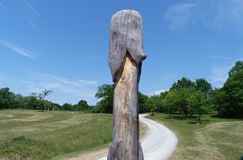 Skulpturenpfad bei Hütscheroda im Hainich