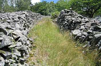 Gleichberge: Schneise aus Steinen im Basaltblockfeld