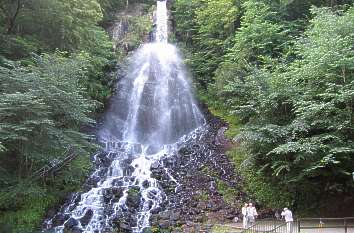 Trusetaler Wasserfall im Thüringer Wald