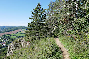 Wanderweg auf dem Kleinen Hörselberg